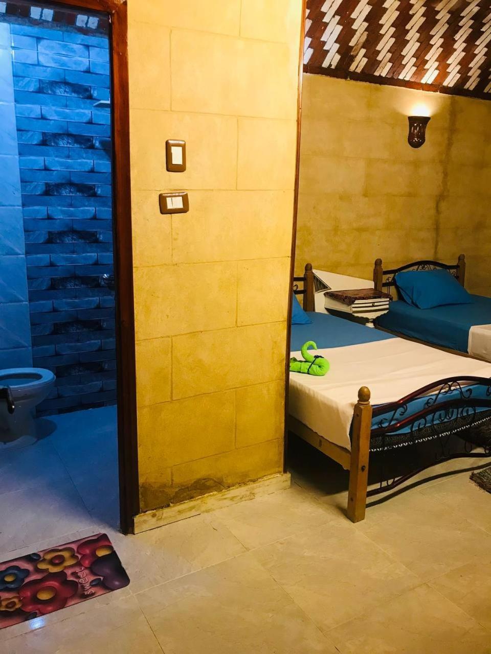 Labib Guest House 阿斯旺 外观 照片